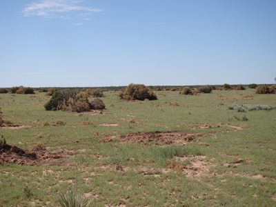 DSC01399